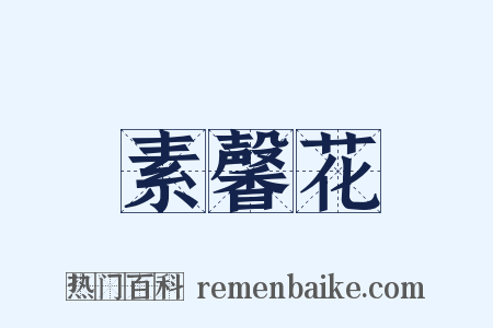 素馨花是什么意思的图片